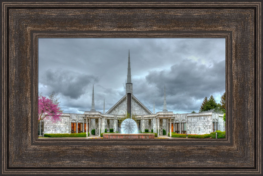 Chicago Temple - Dandelion Temple