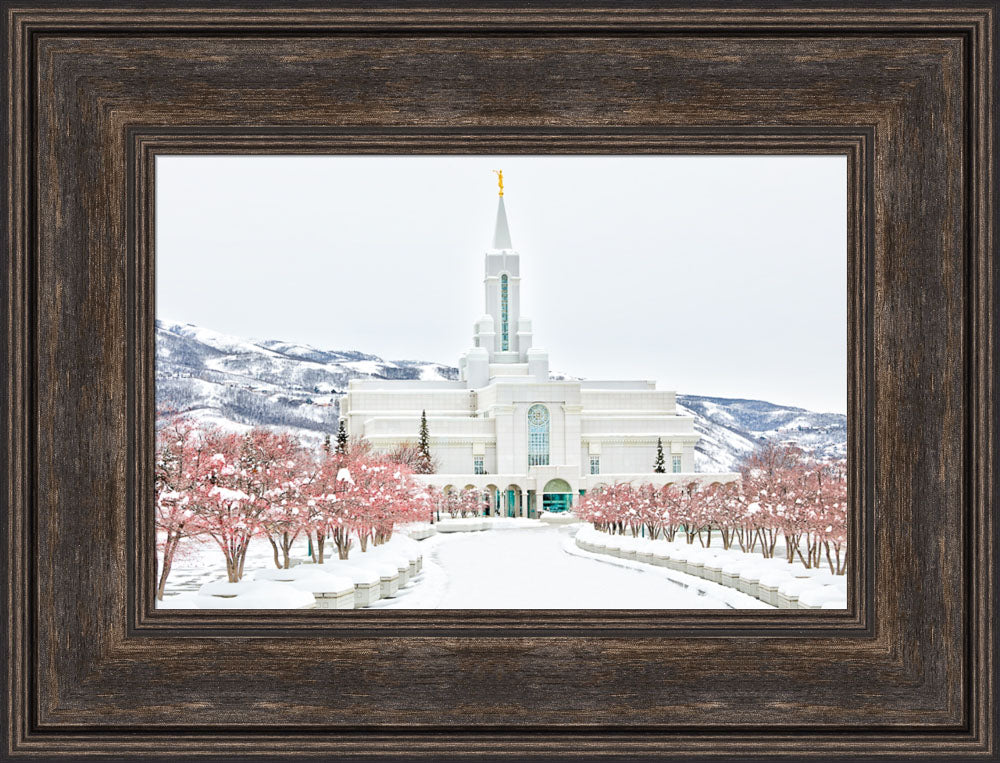 Bountiful Temple - In the Snow