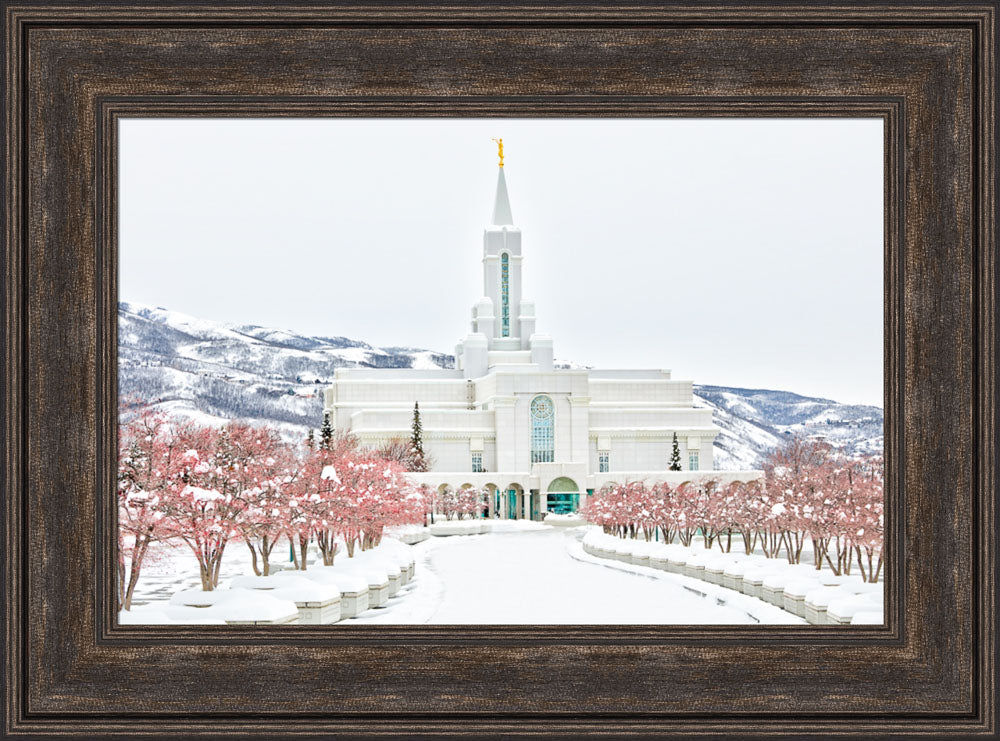 Bountiful Temple - In the Snow