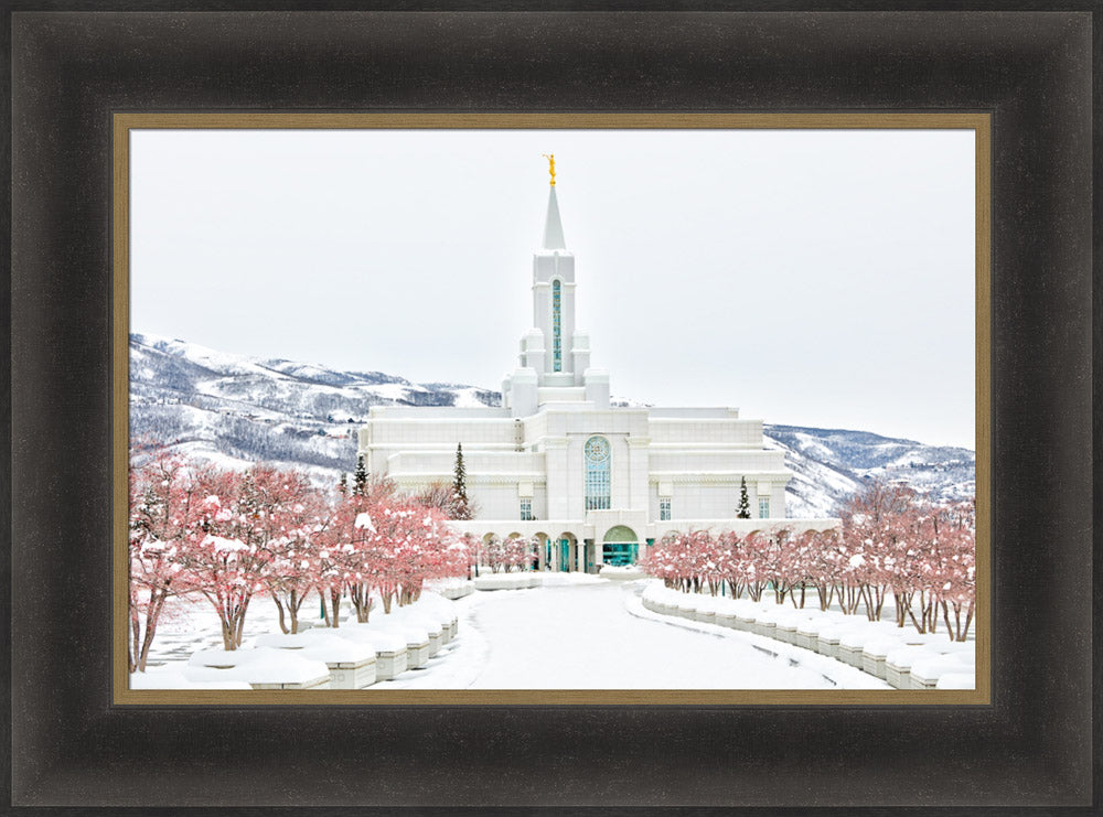 Bountiful Temple - In the Snow