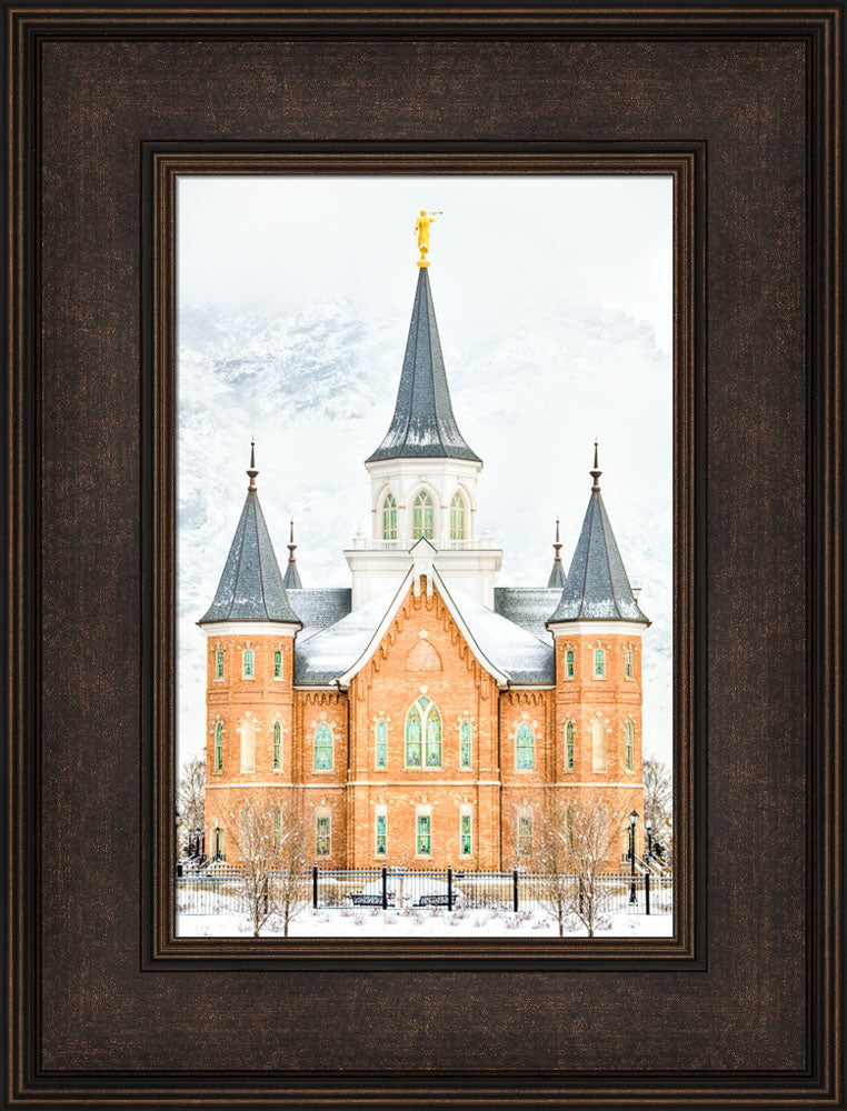 Provo City Center Temple - In January