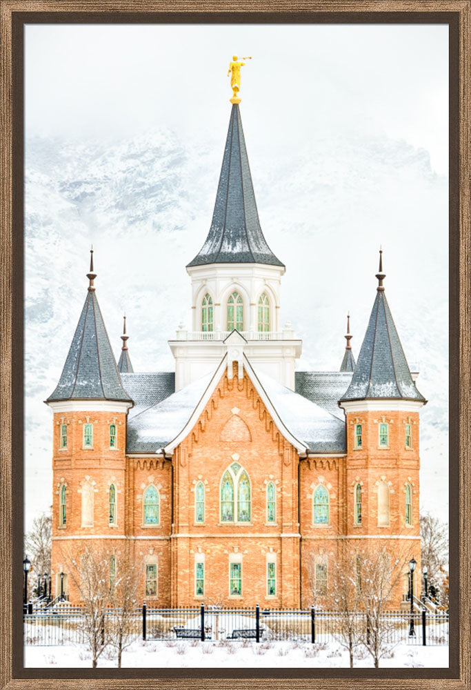Provo City Center Temple - In January