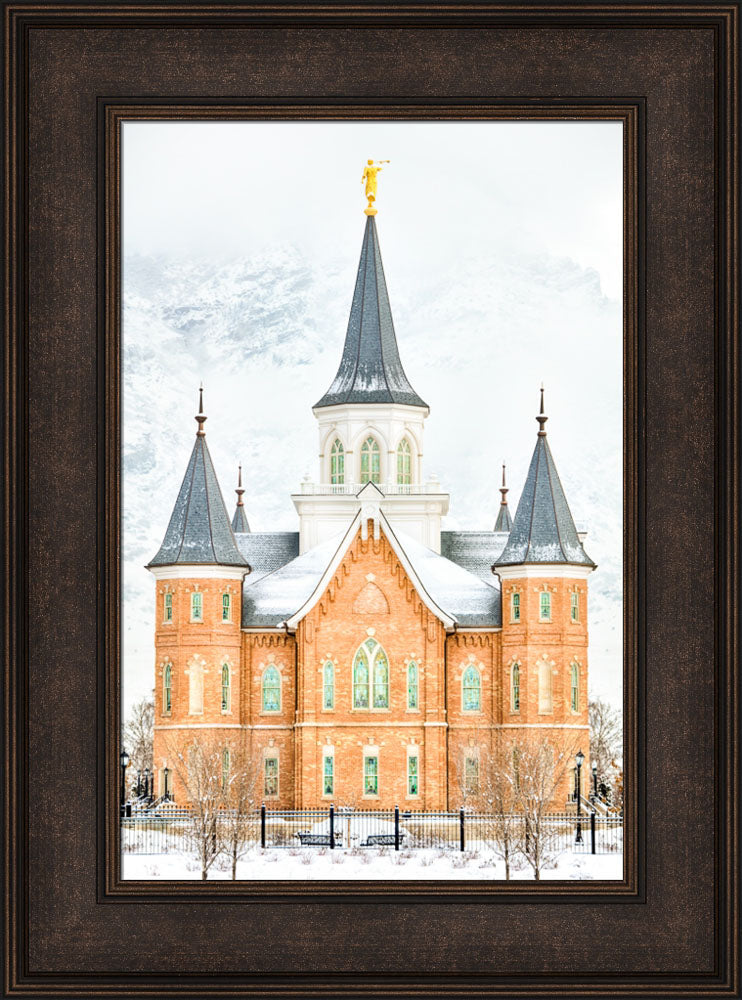 Provo City Center Temple - In January