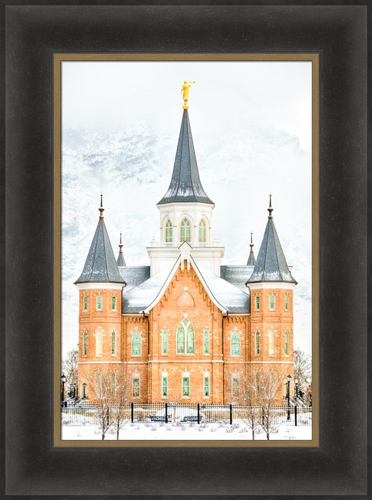 Provo City Center Temple - In January