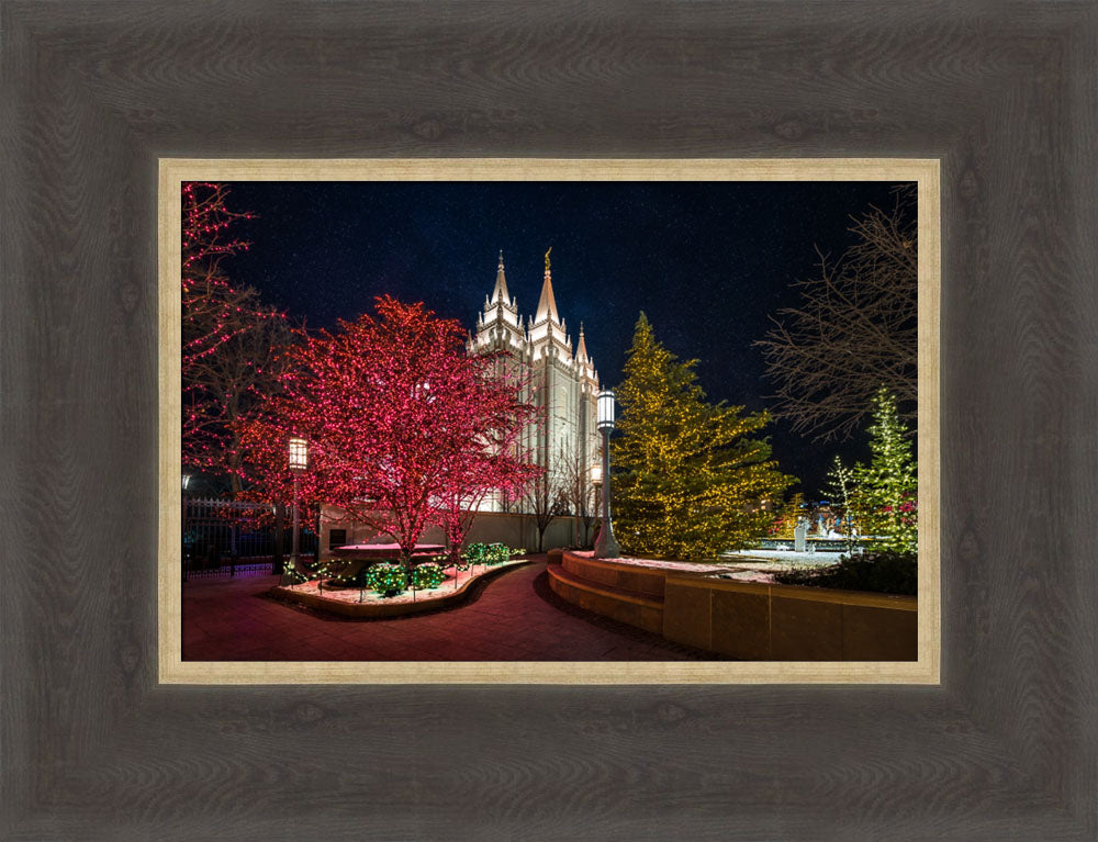 Salt Lake Temple - Christmas Pathway by Lance Bertola