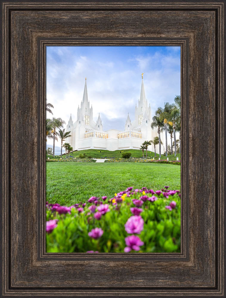 San Diego California by Lance Bertola