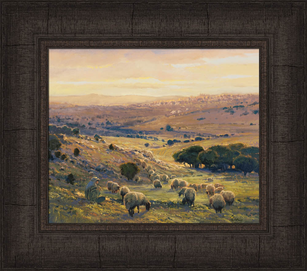 Shepherd's Field by Linda Curley Christensen