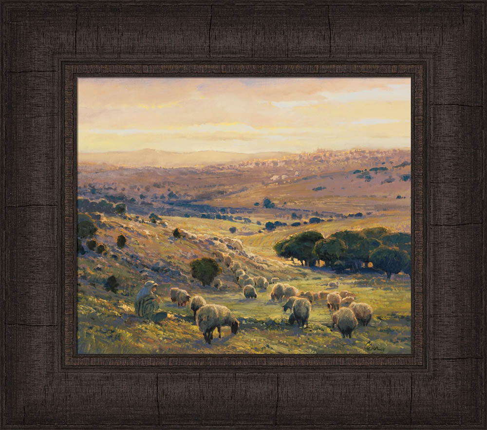 Shepherd's Field by Linda Curley Christensen