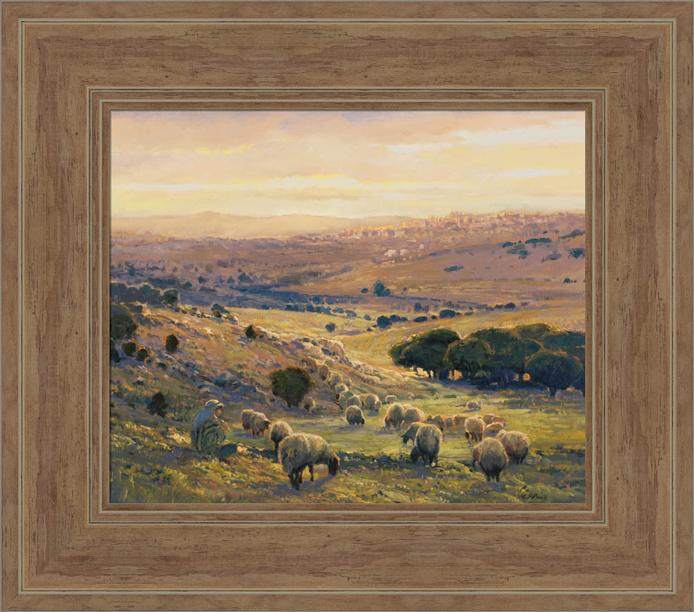 Shepherd's Field by Linda Curley Christensen