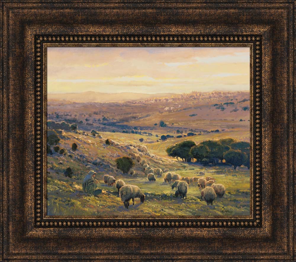 Shepherd's Field by Linda Curley Christensen