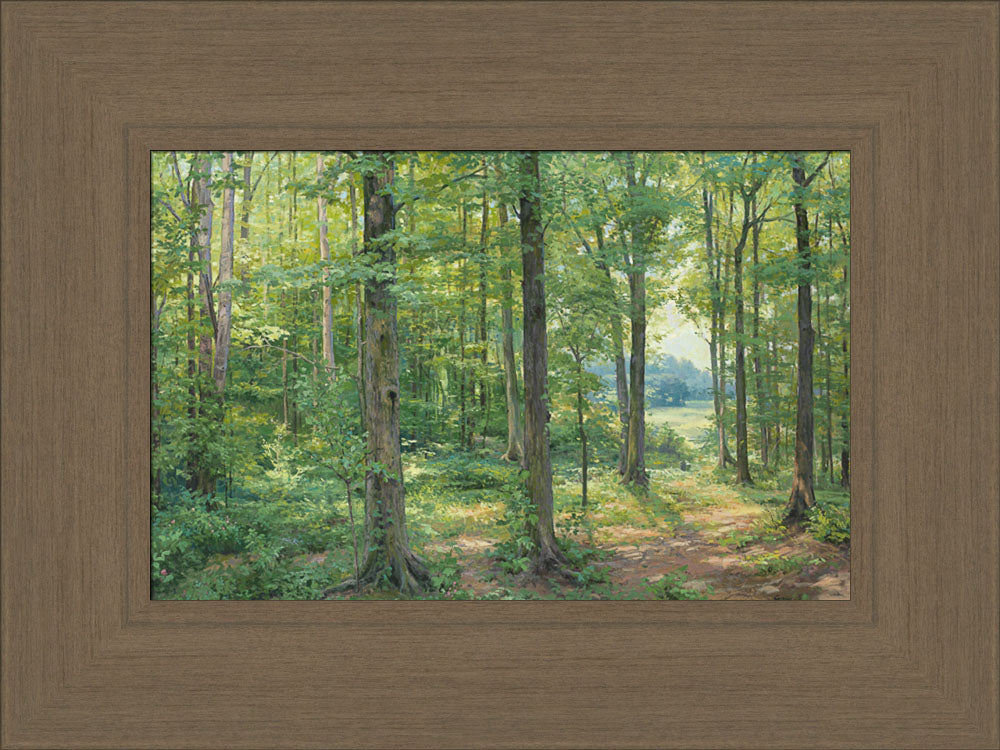 Sacred Grove by Linda Curley Christensen