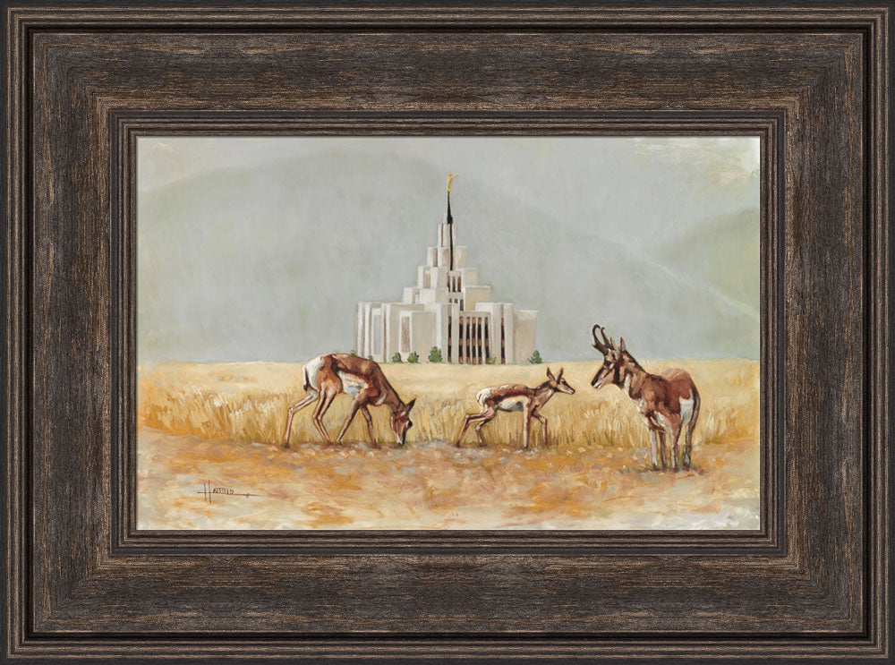 Saratoga Springs Temple- Misty Morning- Lori Hatfield