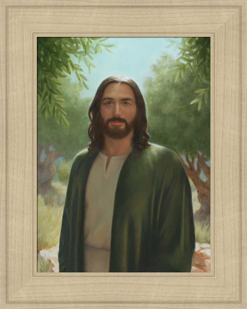 Master of the Vineyard