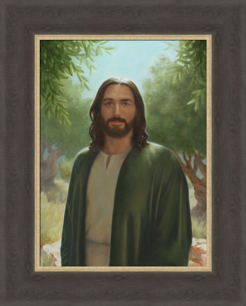 Master of the Vineyard