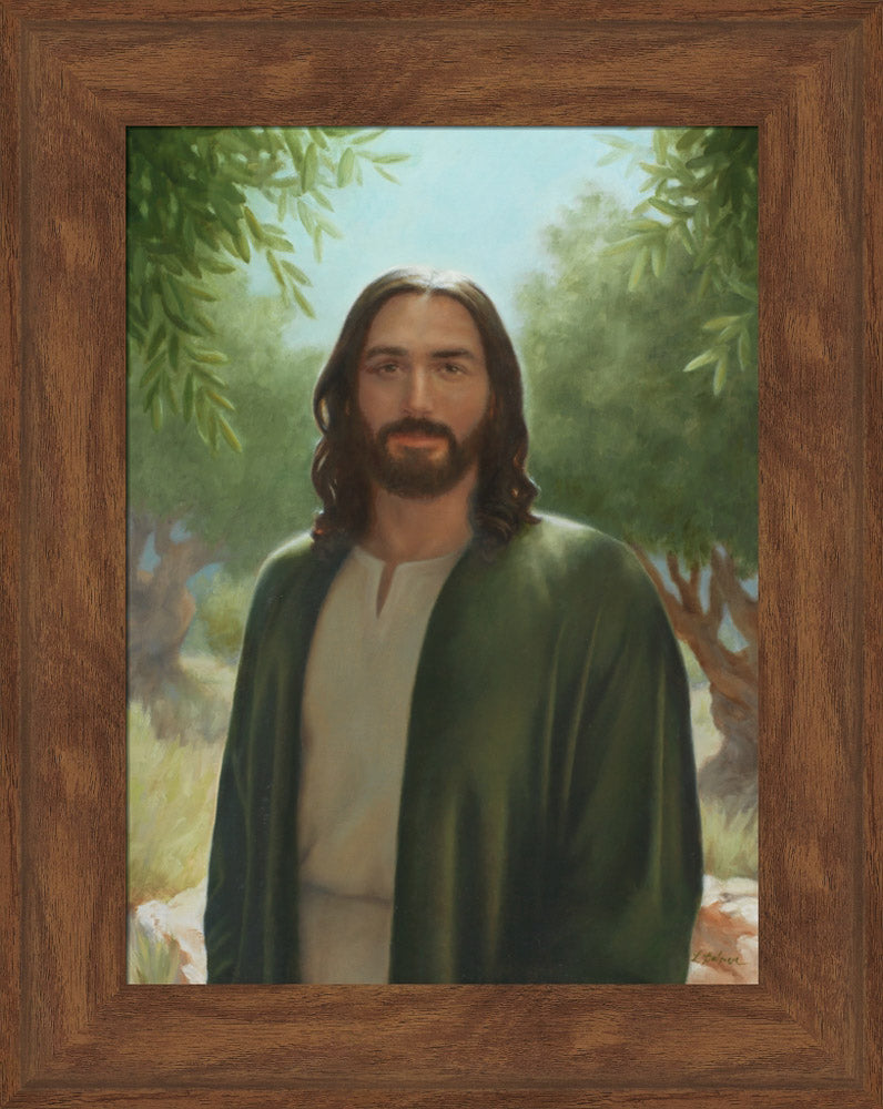 Master of the Vineyard