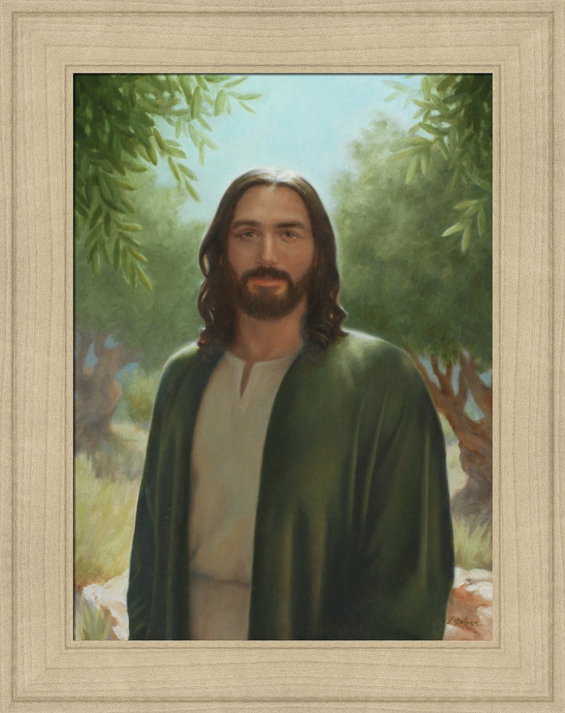Master of the Vineyard