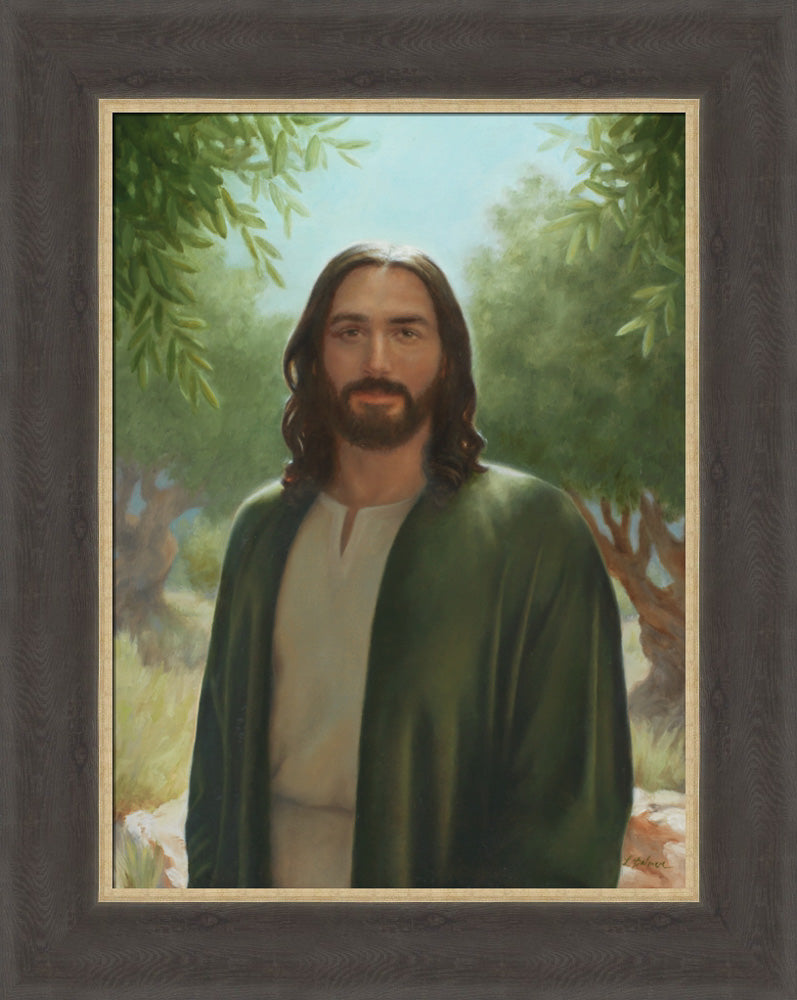 Master of the Vineyard