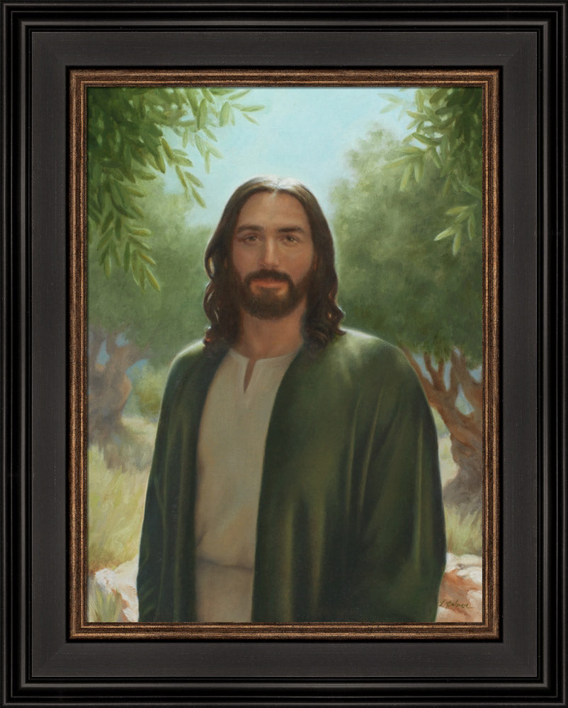 Master of the Vineyard