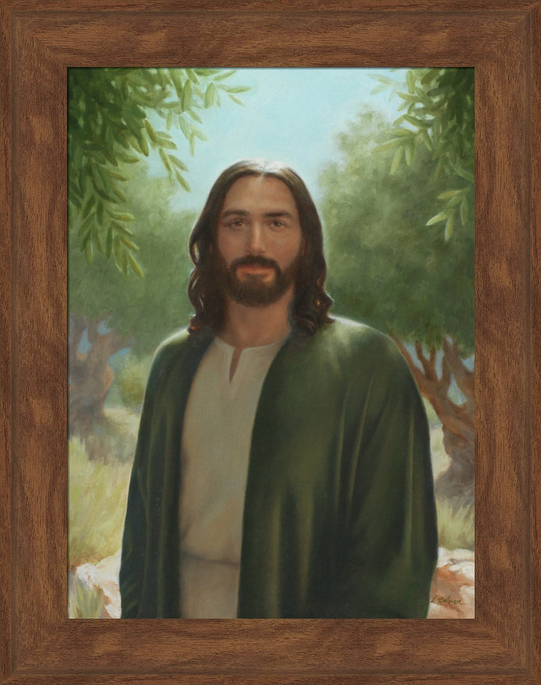 Master of the Vineyard