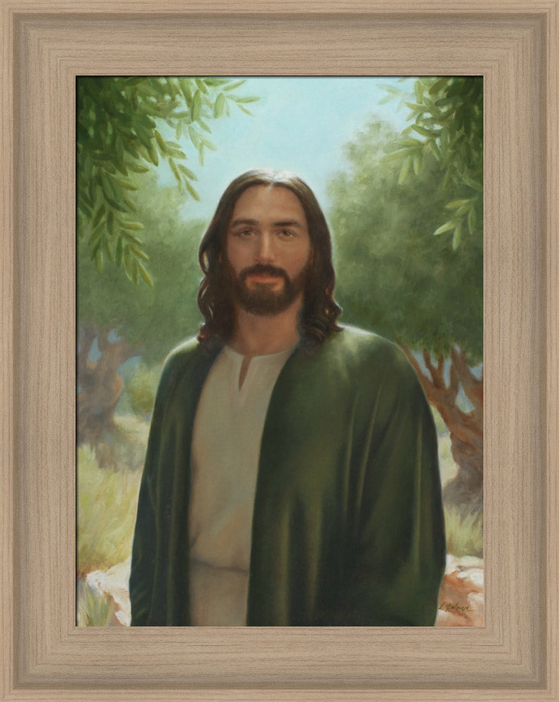 Master of the Vineyard