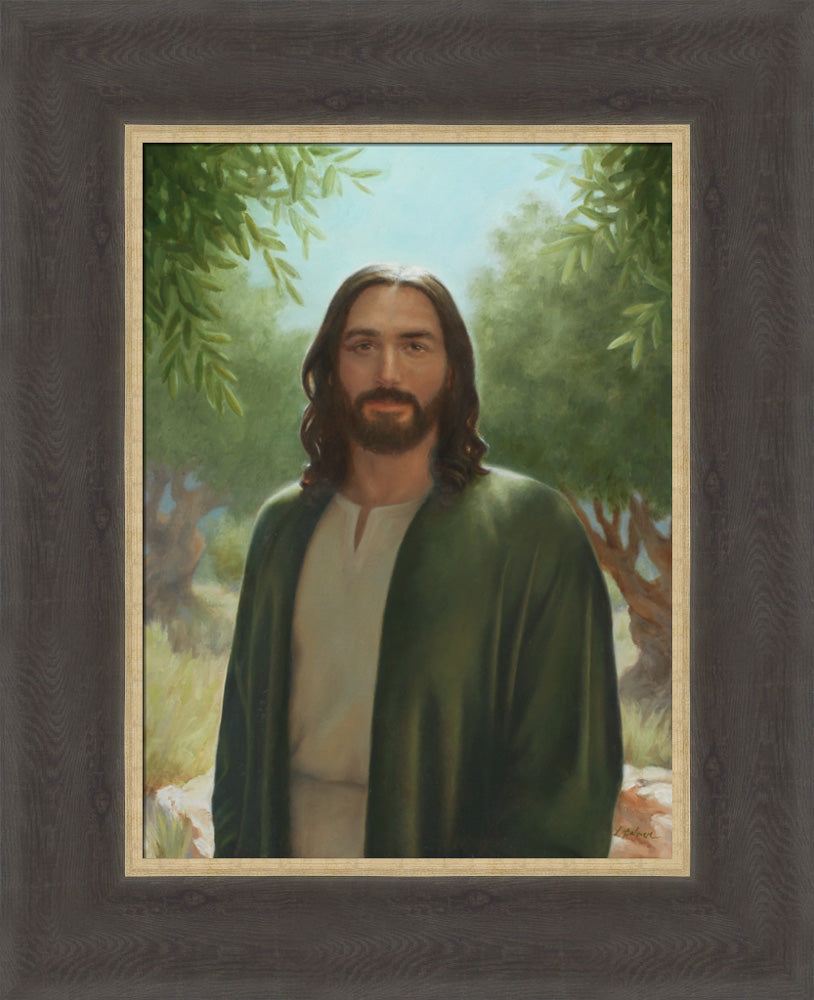 Master of the Vineyard