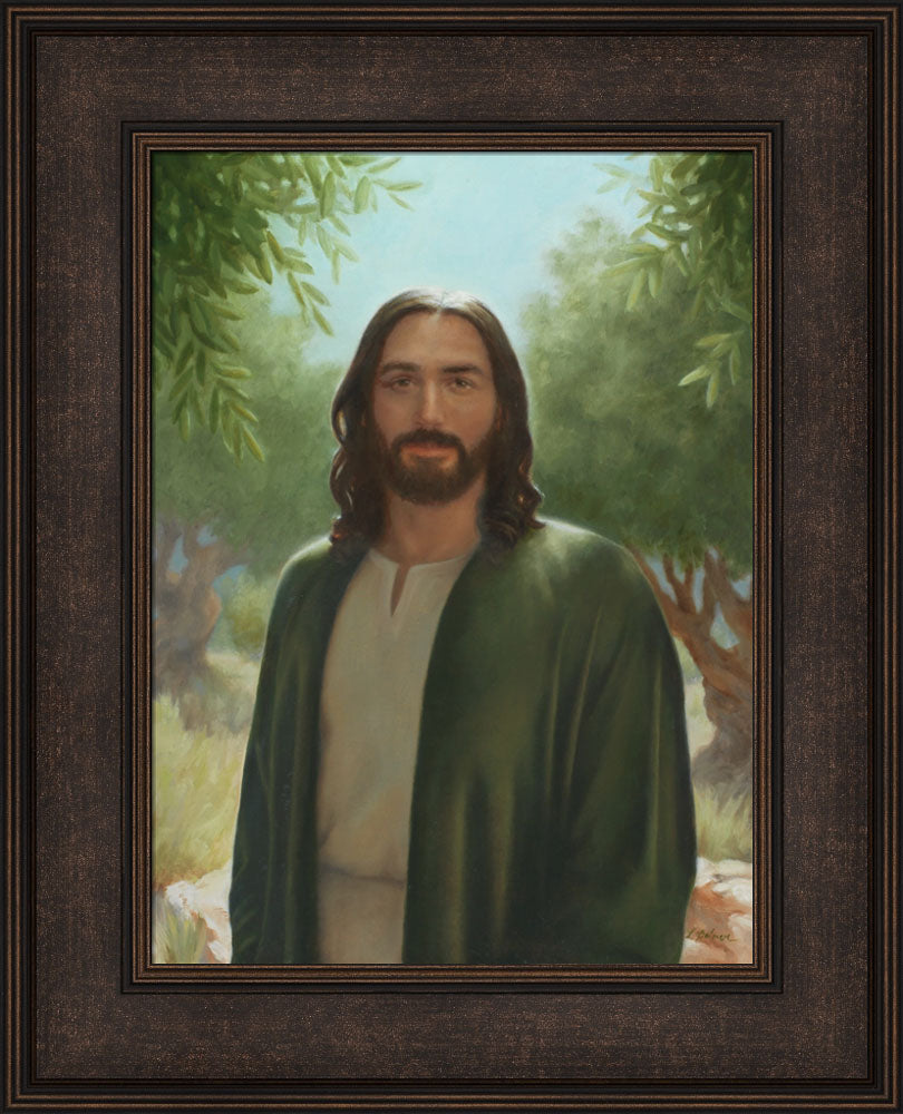 Master of the Vineyard