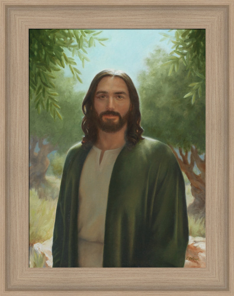 Master of the Vineyard