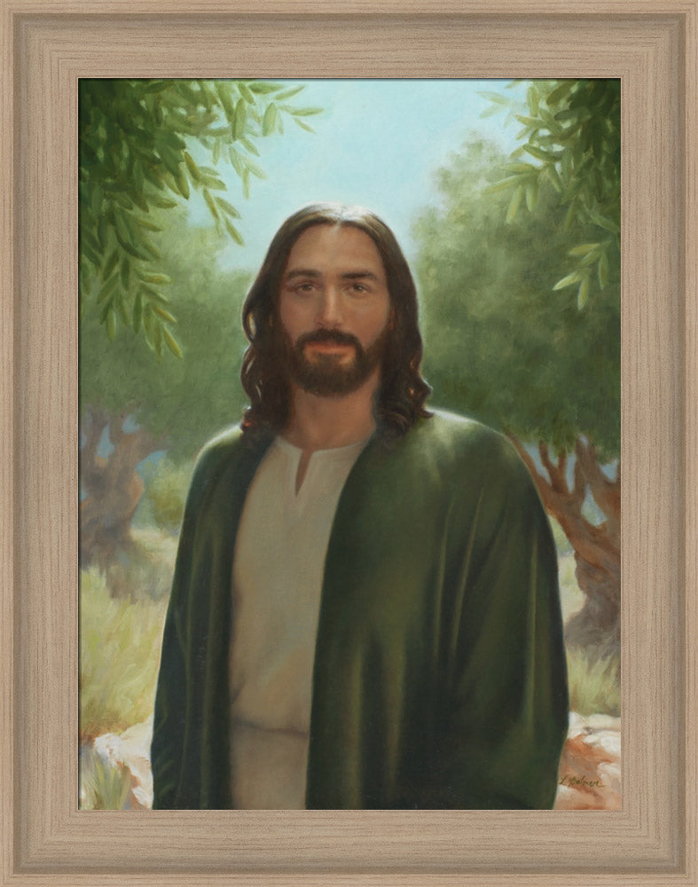 Master of the Vineyard