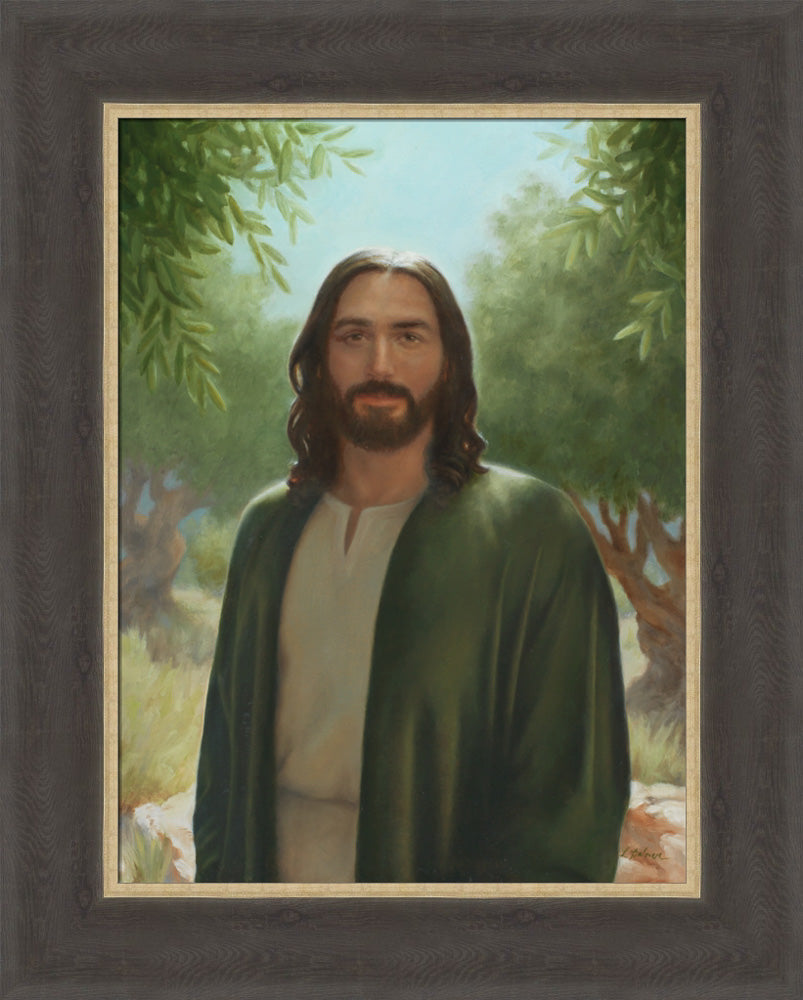 Master of the Vineyard