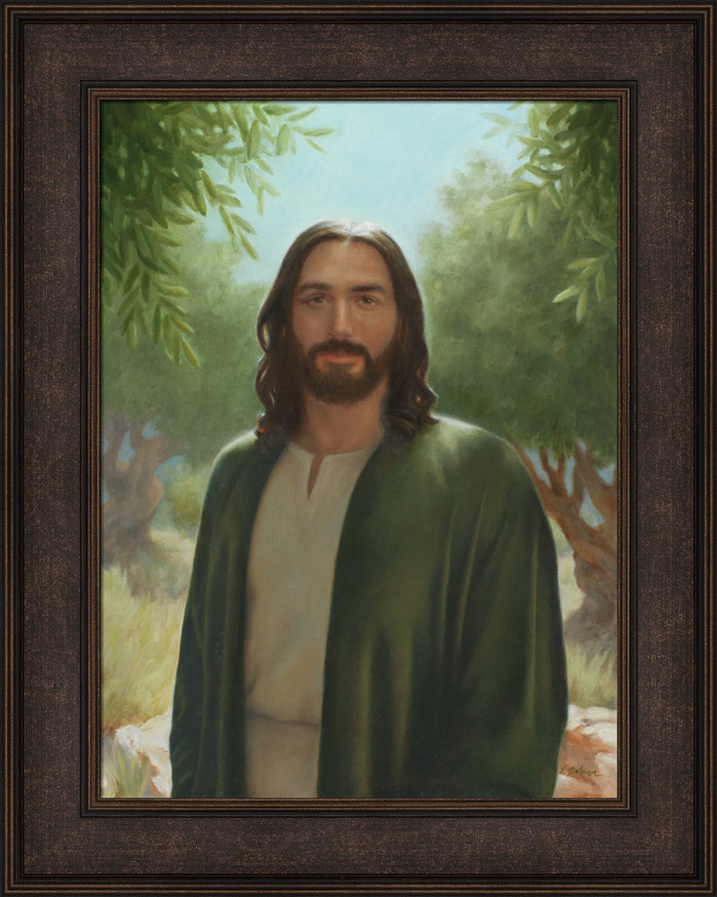 Master of the Vineyard