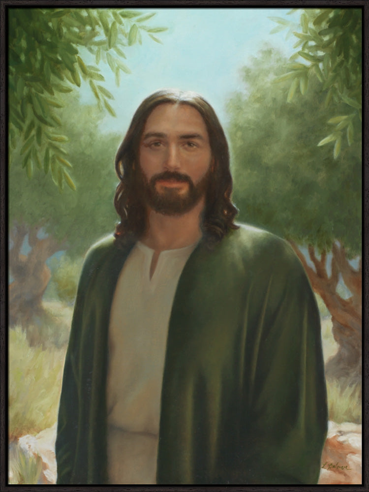 Master of the Vineyard