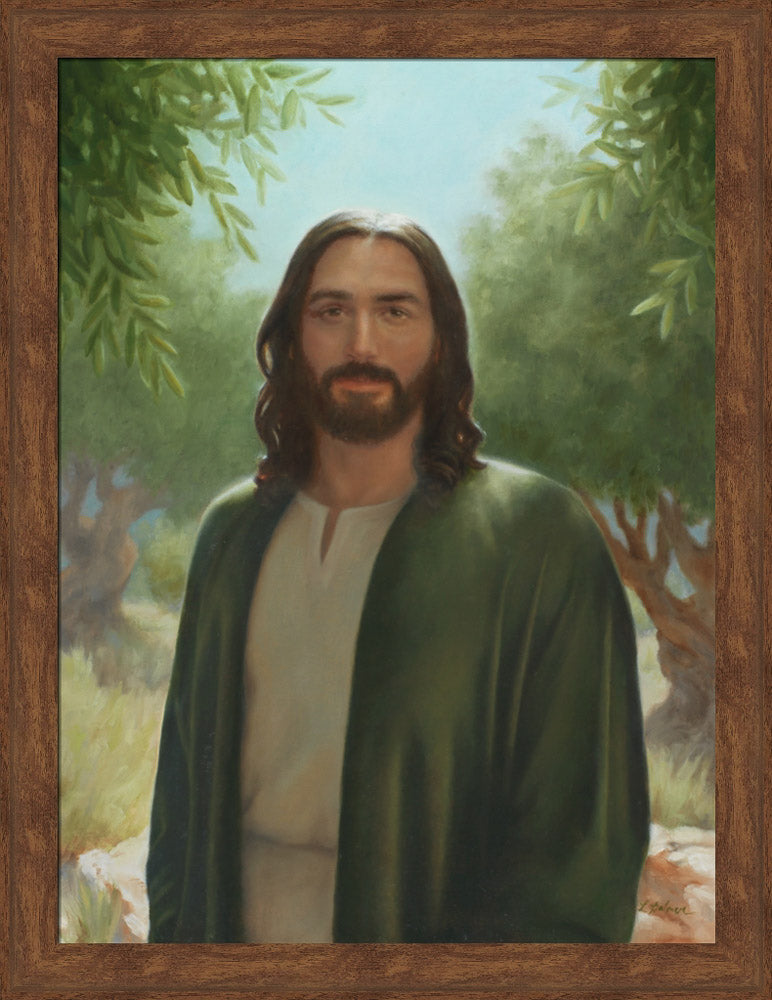Master of the Vineyard