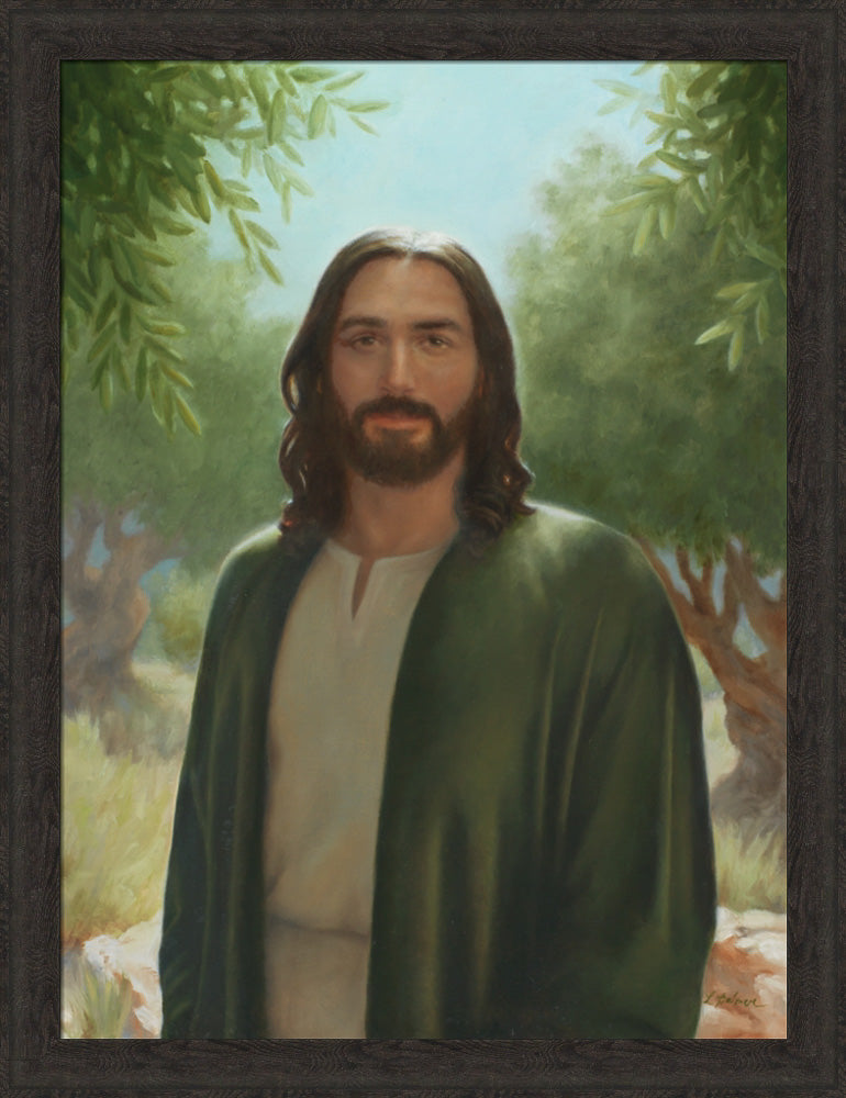 Master of the Vineyard
