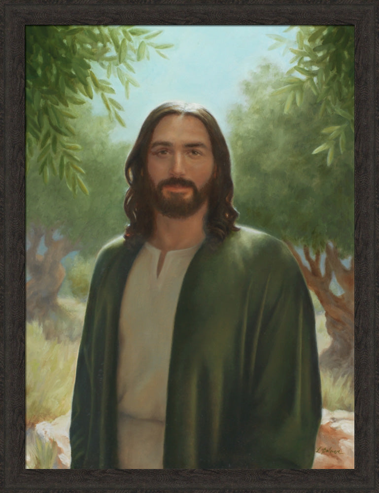 Master of the Vineyard