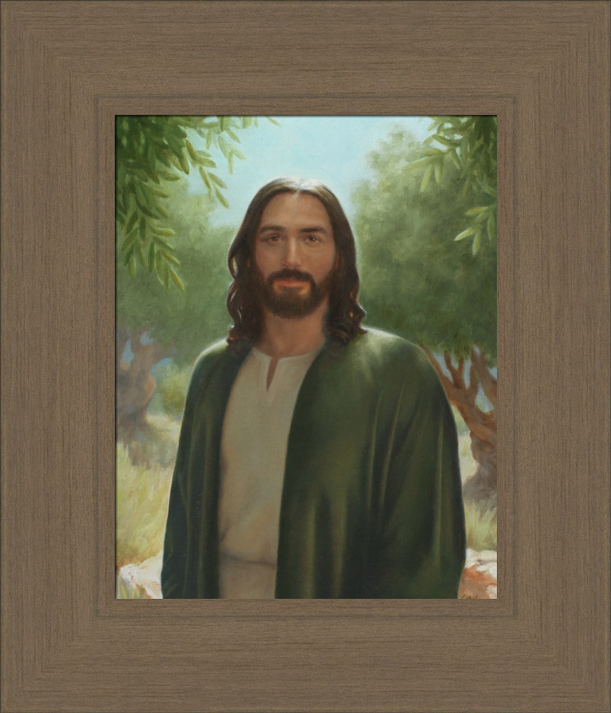 Master of the Vineyard