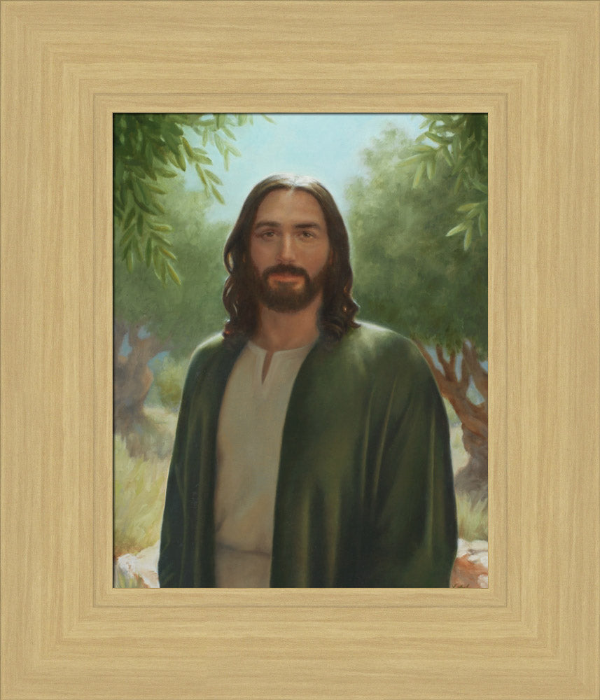Master of the Vineyard