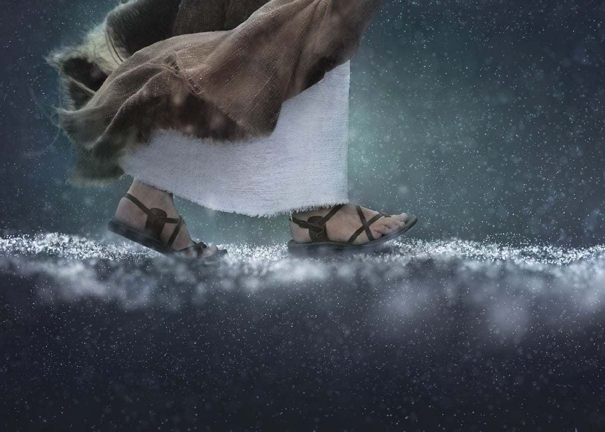 In Hallowed Steps