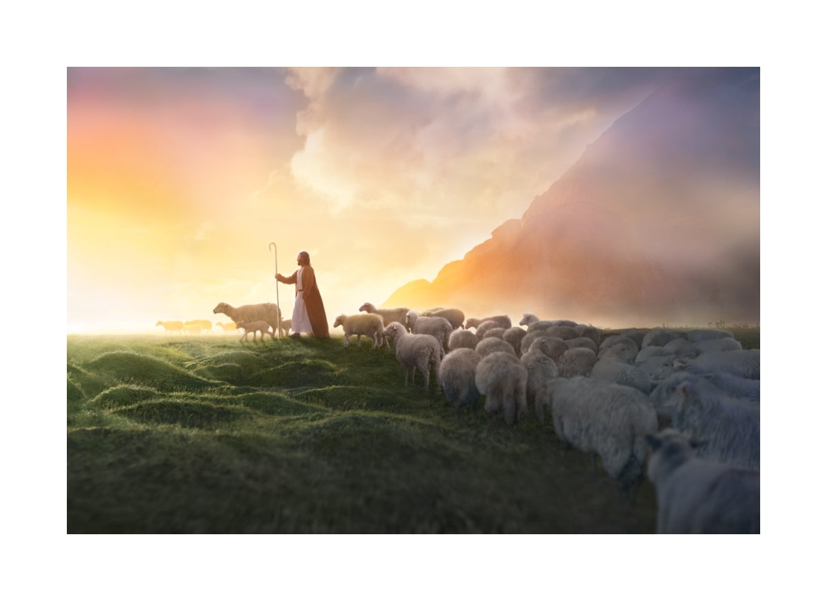 Greener Pastures