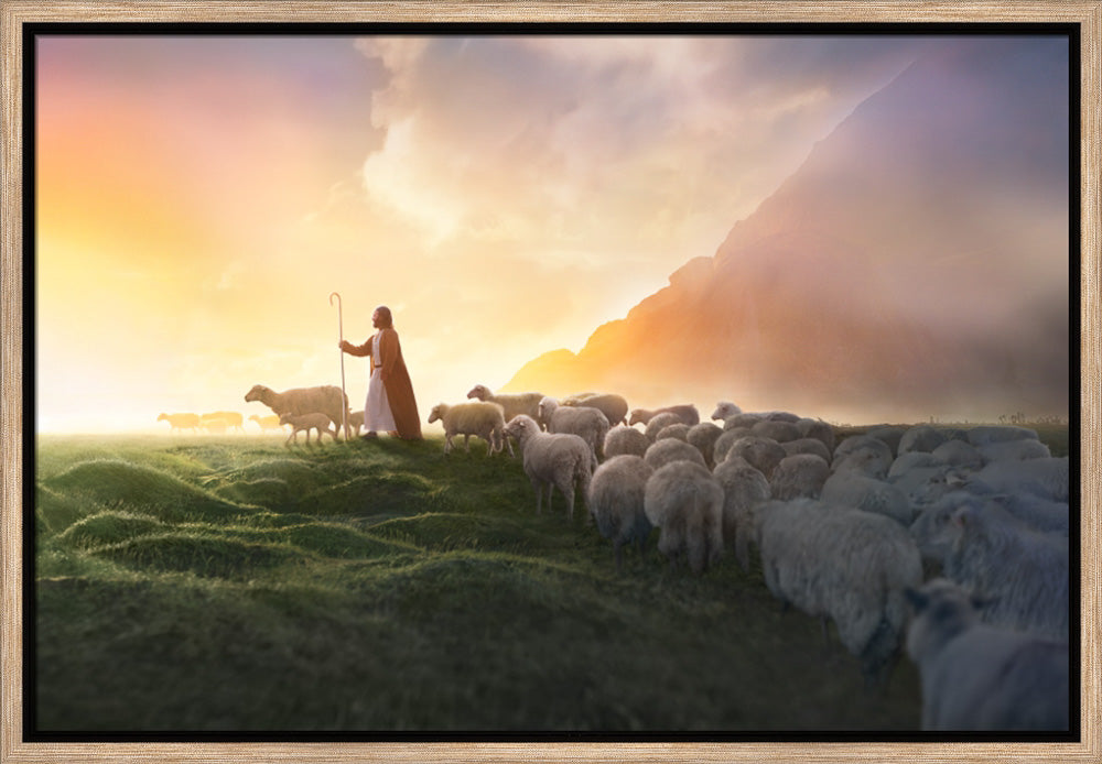 Greener Pastures