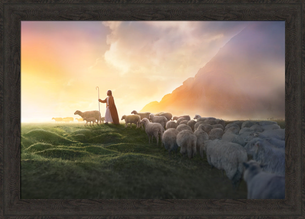 Greener Pastures