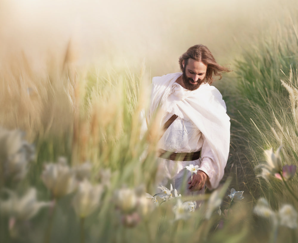 Smiling Christ walking through a sunlit field of tall grass, his white robes blowing in the wind as he holds a single white lily.