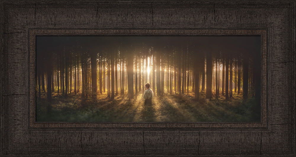 Young Joseph Smith kneeling in a grove of trees with light shining through. Art 11