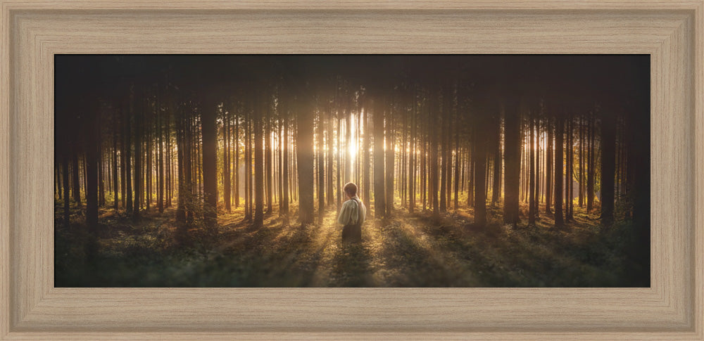 Young Joseph Smith kneeling in a grove of trees with light shining through. Art 12