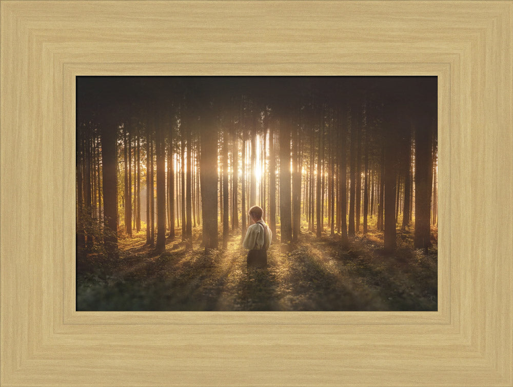 Young Joseph Smith kneeling in a grove of trees with light shining through. Art 10