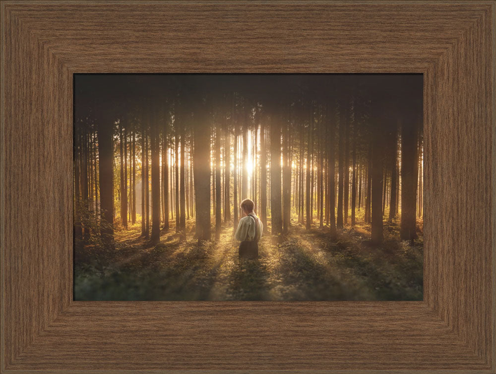 Young Joseph Smith kneeling in a grove of trees with light shining through. Art 9