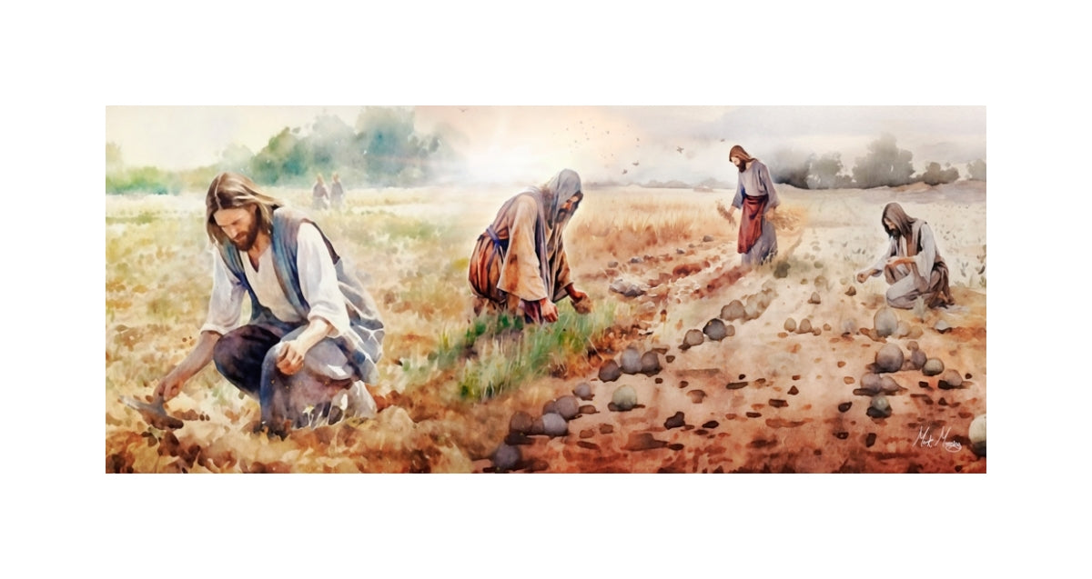 The Sower