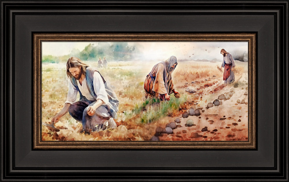 The Sower - framed giclee canvas
