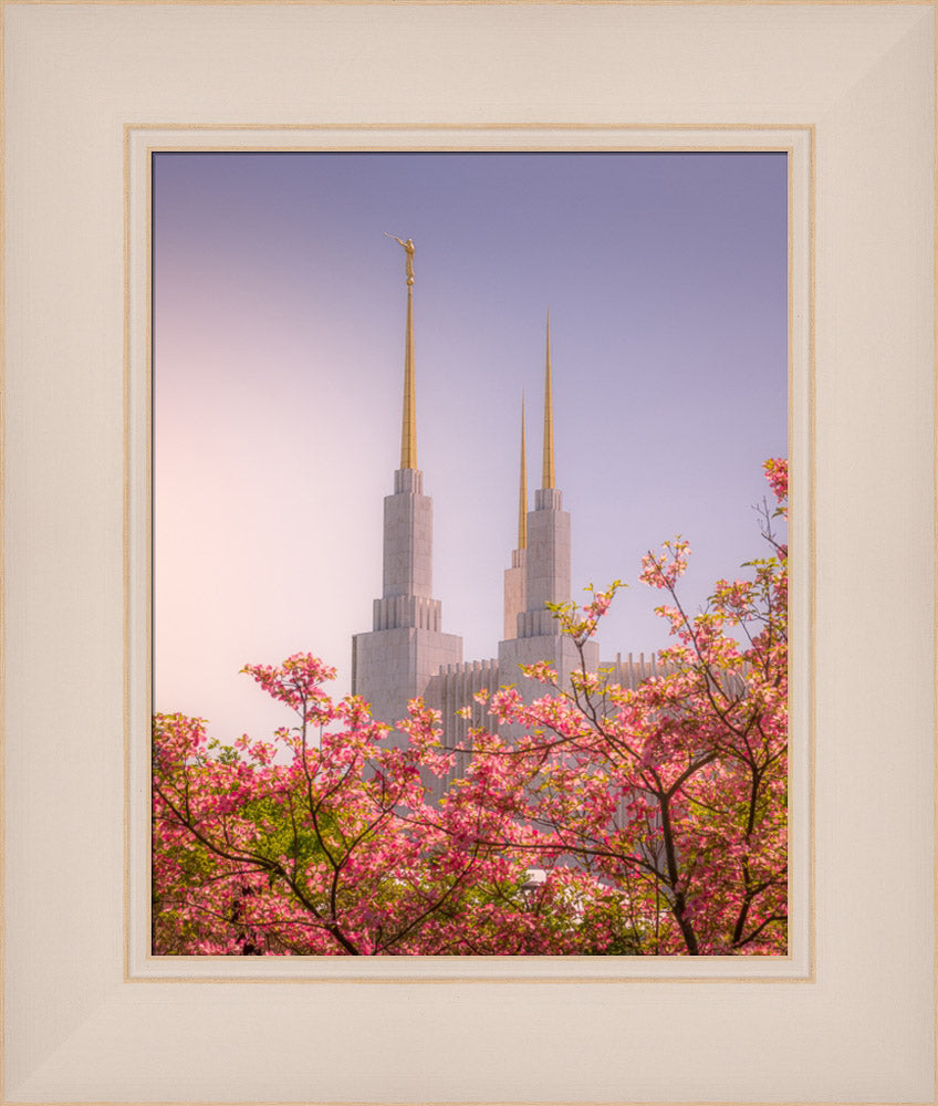Washington DC Temple - Spires and Blooms