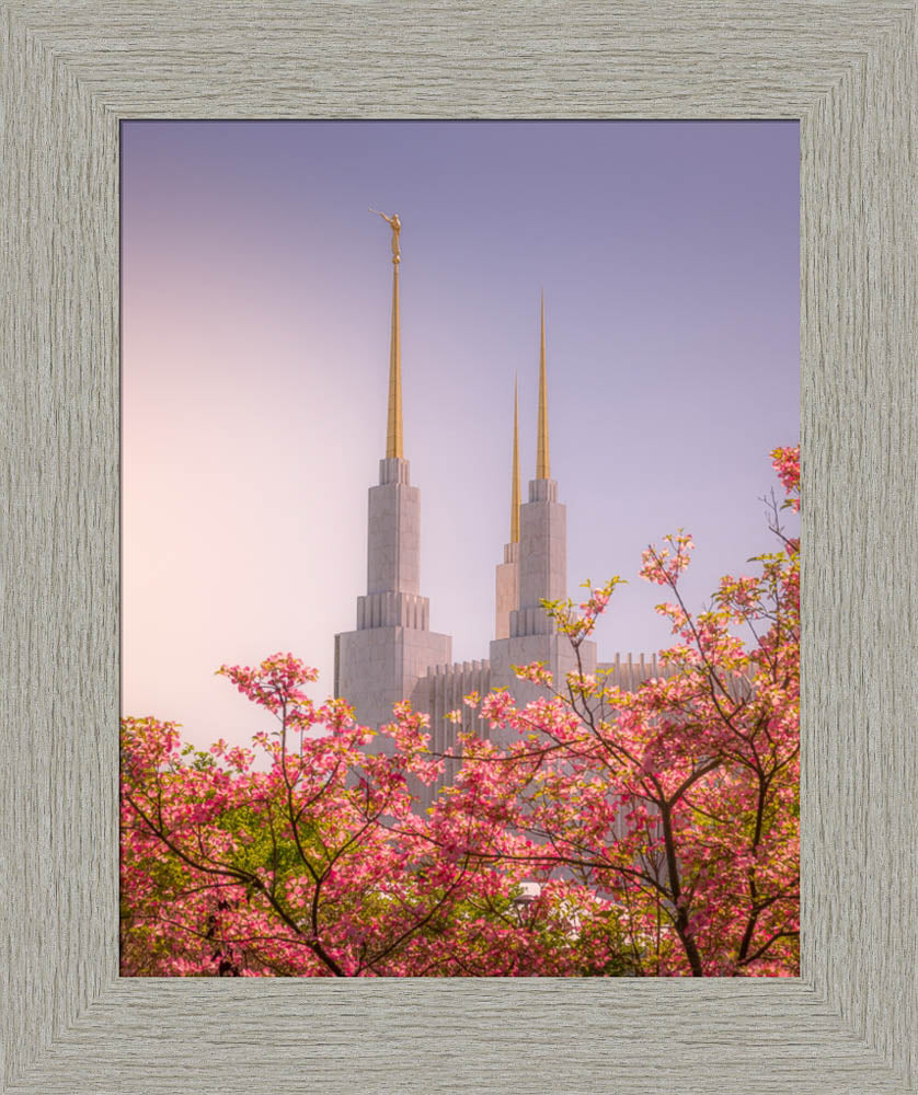 Washington DC Temple - Spires and Blooms