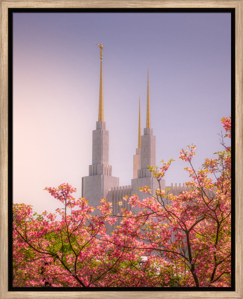 Washington DC Temple - Spires and Blooms